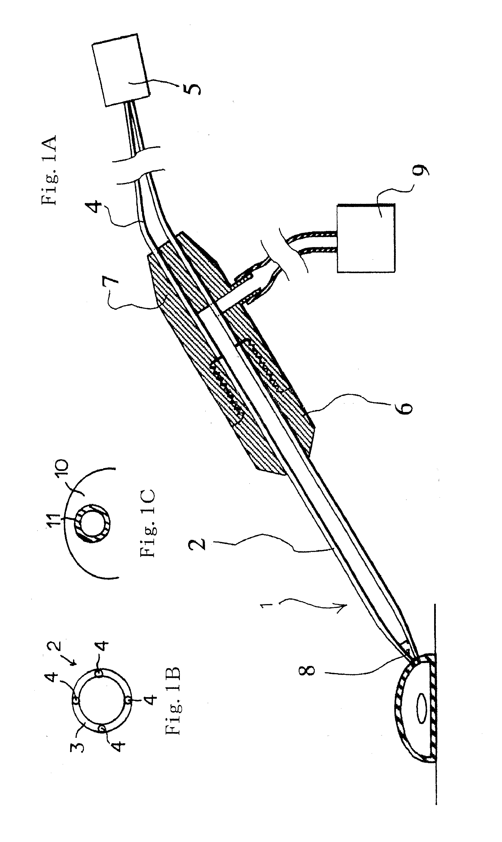 Apparatus for perforating membrane