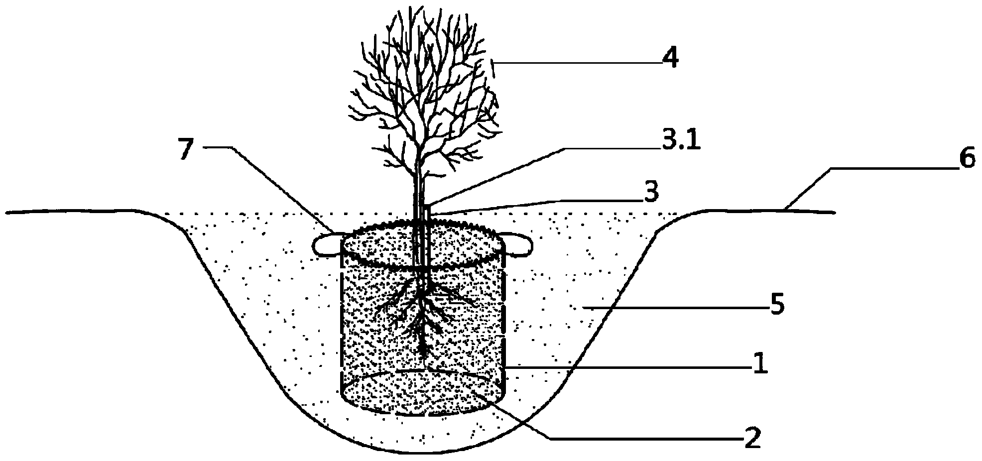 Desert green planting structure and method