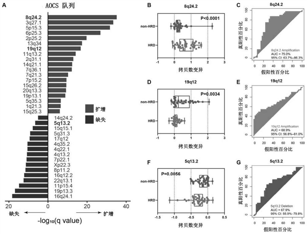 A method and application for predicting homologous recombination deficiency in ovarian cancer based on genomic copy number variation biomarkers