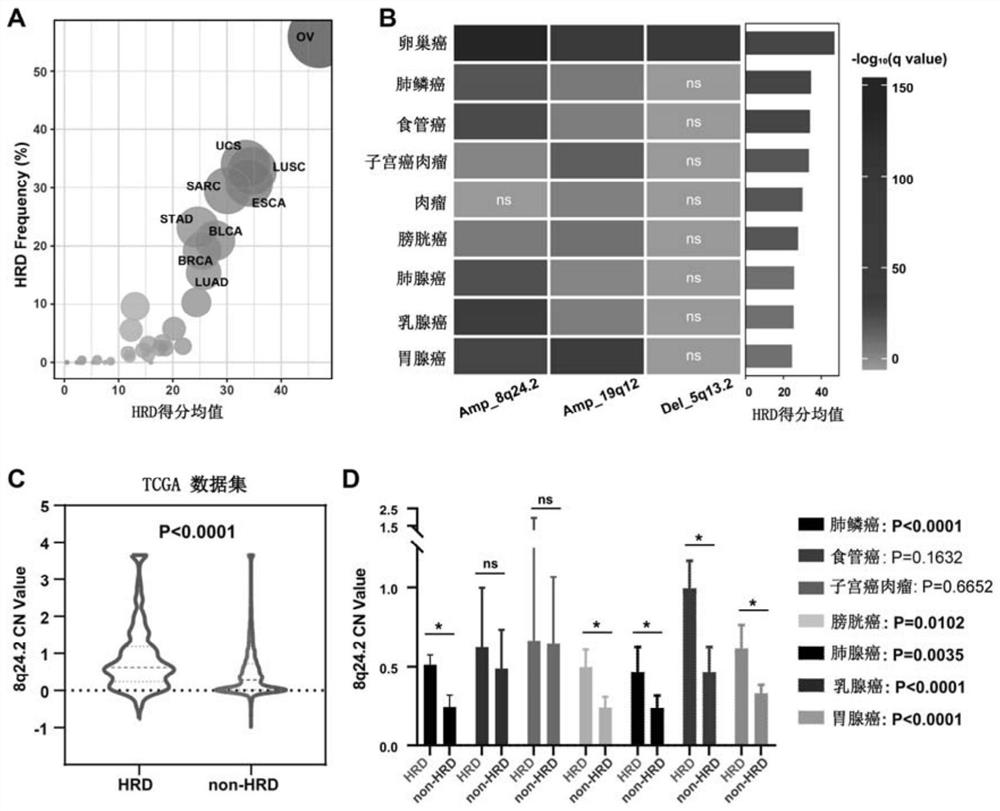 A method and application for predicting homologous recombination deficiency in ovarian cancer based on genomic copy number variation biomarkers