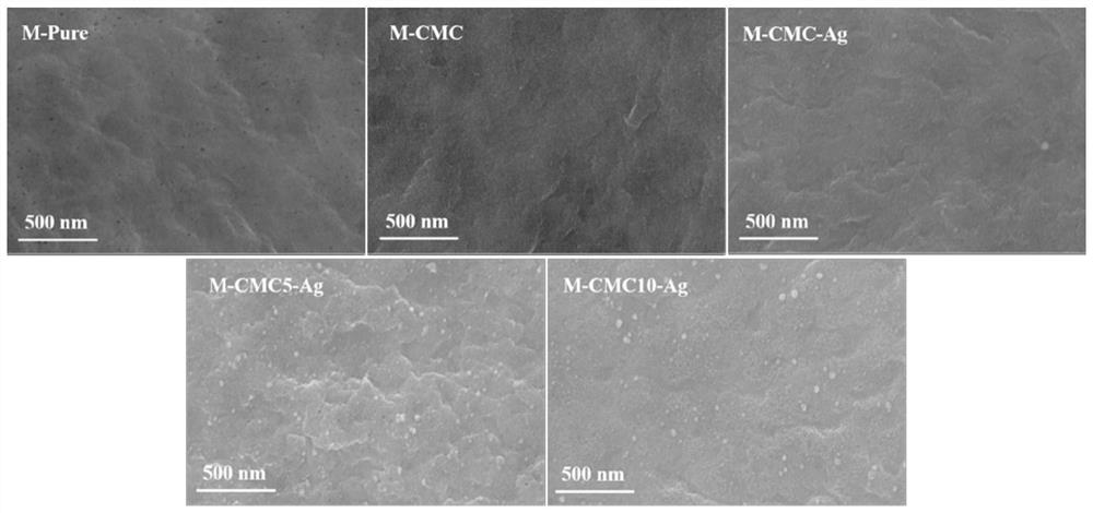 Cellulose gel layer modified loose nanofiltration membrane for high-flux dye separation as well as preparation method and application of cellulose gel layer modified loose nanofiltration membrane