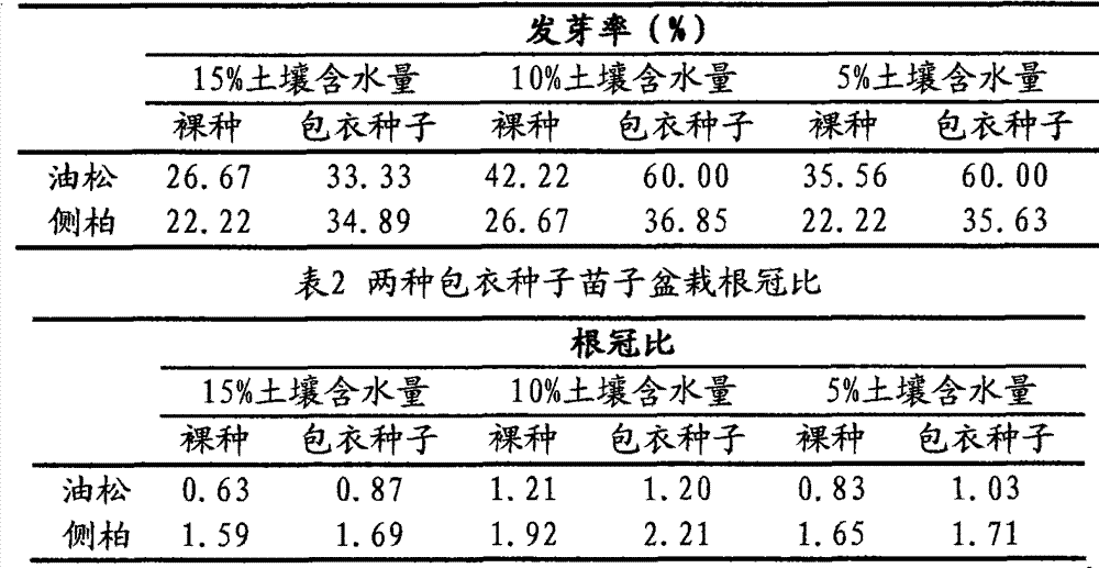 Drought resisting coating composite, coating seed and coating method of tree seeds