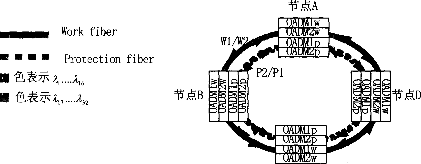 Protective optical-fiber ring net special for single-fiber two-direction duplexing section