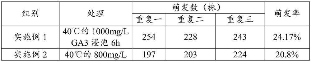 Method for increasing germination rate of blumea balsamifera seeds