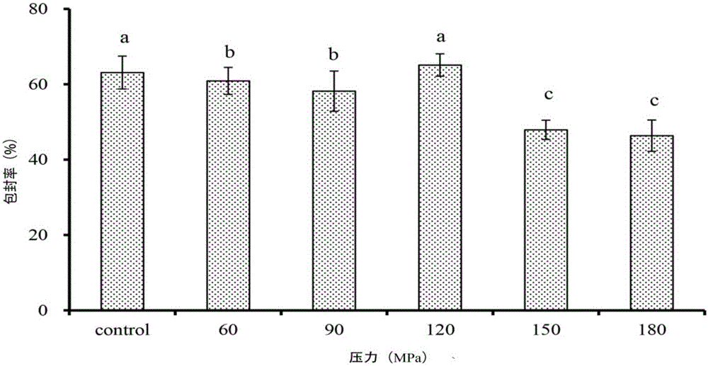 Peanut oligopeptide-coated nano liposome as well as preparation method and application thereof