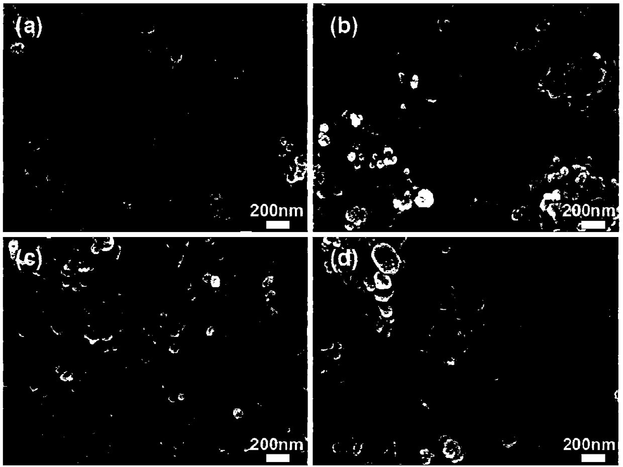 Copper and silver co-doped nano-zinc oxide used as photocatalyst, and preparation method of copper and silver co-doped nano-zinc oxide