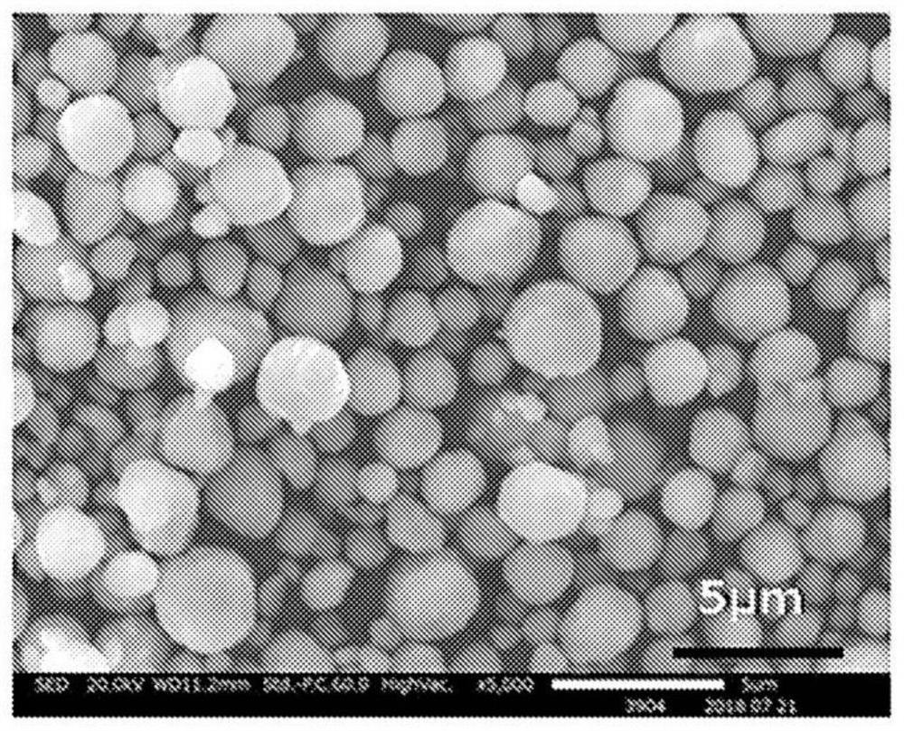 Negative electrode mixture composite for fluoride ion secondary battery, negative electrode and secondary battery for fluoride ion secondary battery using composite, and method for producing composite