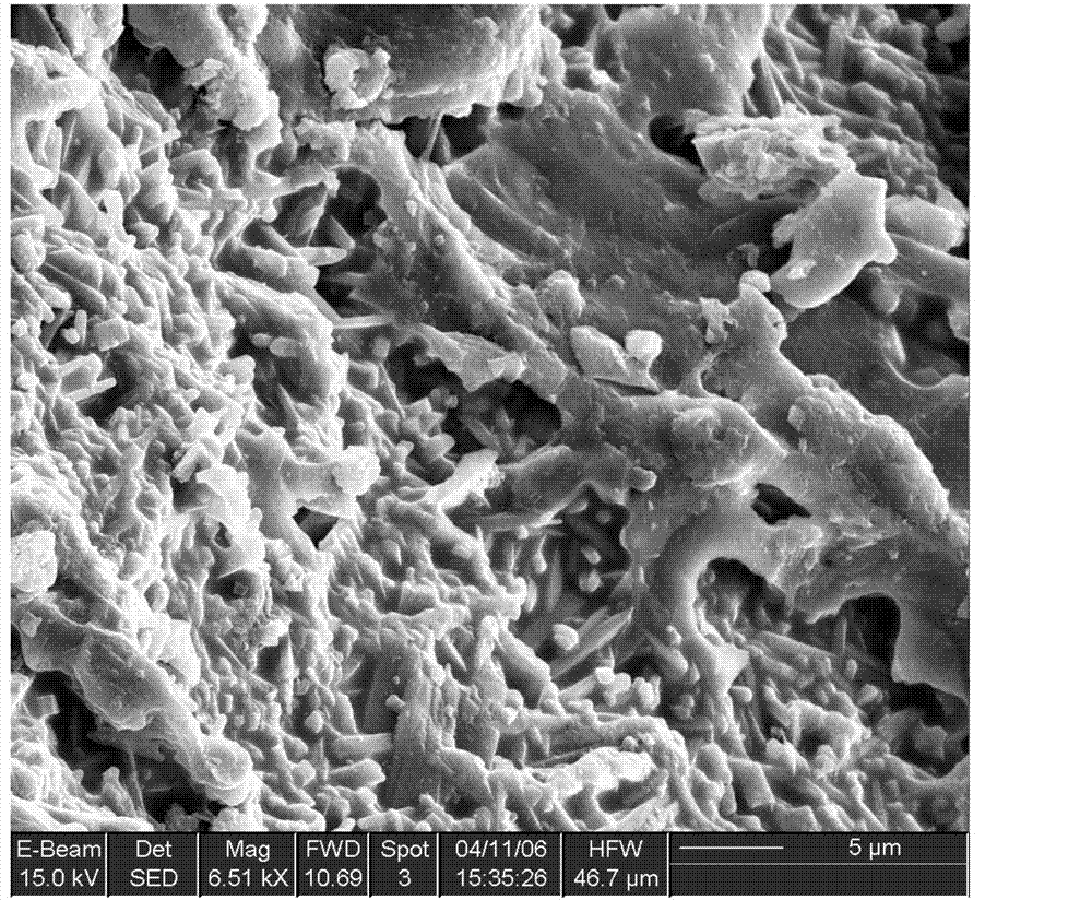 Light cordierite-mullite kiln furniture materials prepared through bentonite tailings