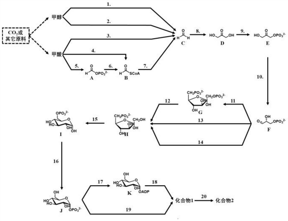 Biosynthesis method of starch