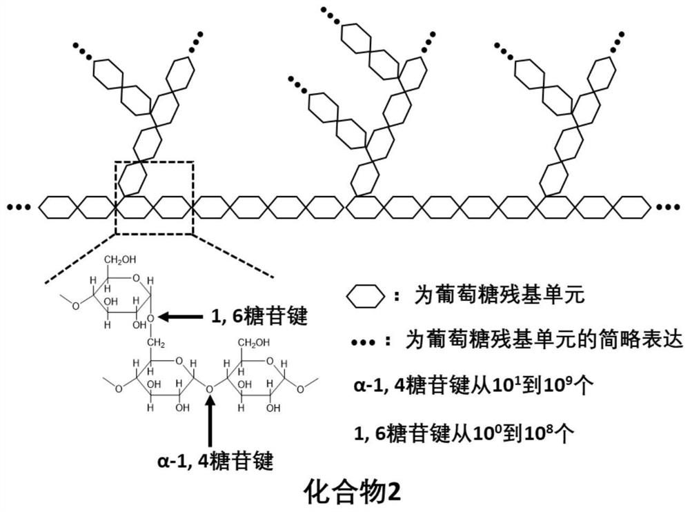 Biosynthesis method of starch