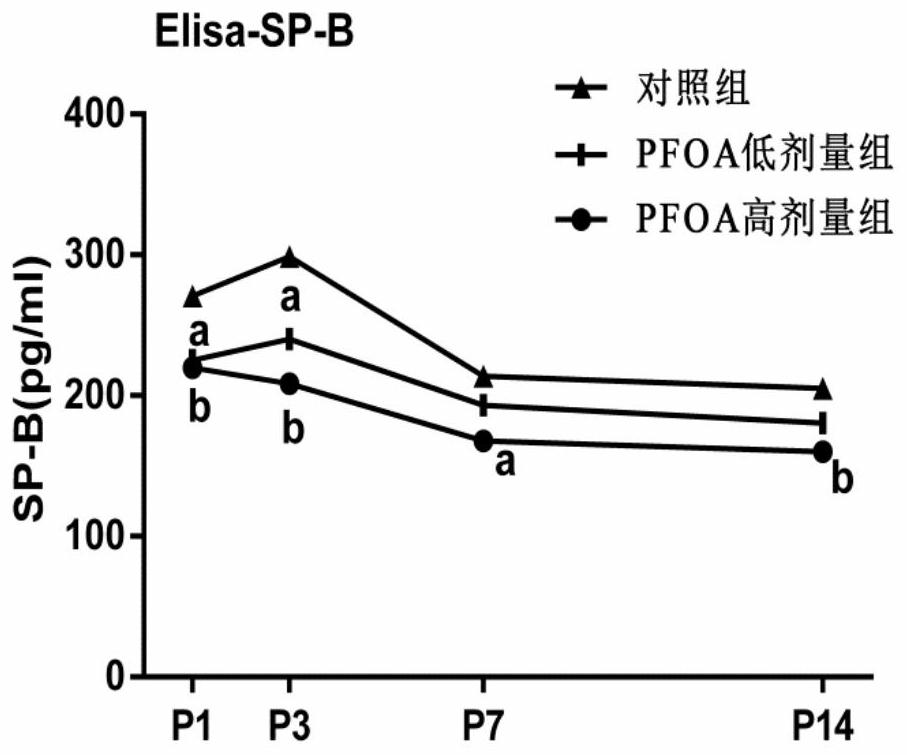 A method for establishing an animal model of bronchopulmonary dysplasia with perfluorooctanoic acid