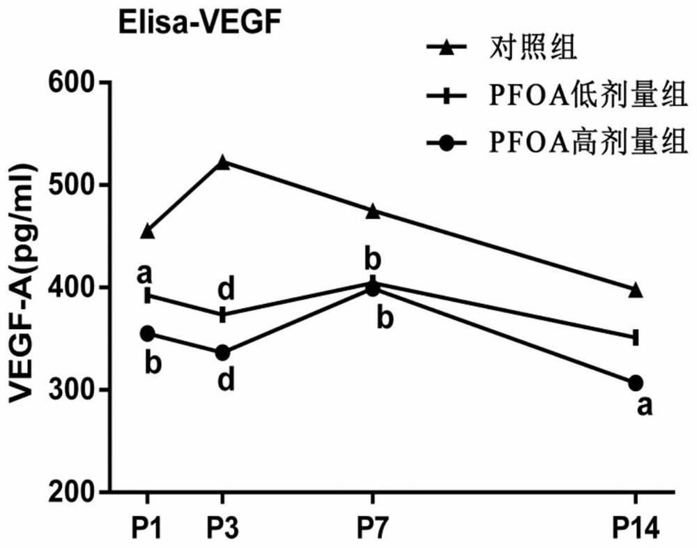 A method for establishing an animal model of bronchopulmonary dysplasia with perfluorooctanoic acid