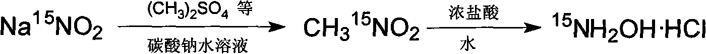 Method for preparing N-hydroxylamine hydrochloride by hydrolyzing N-nitromethane
