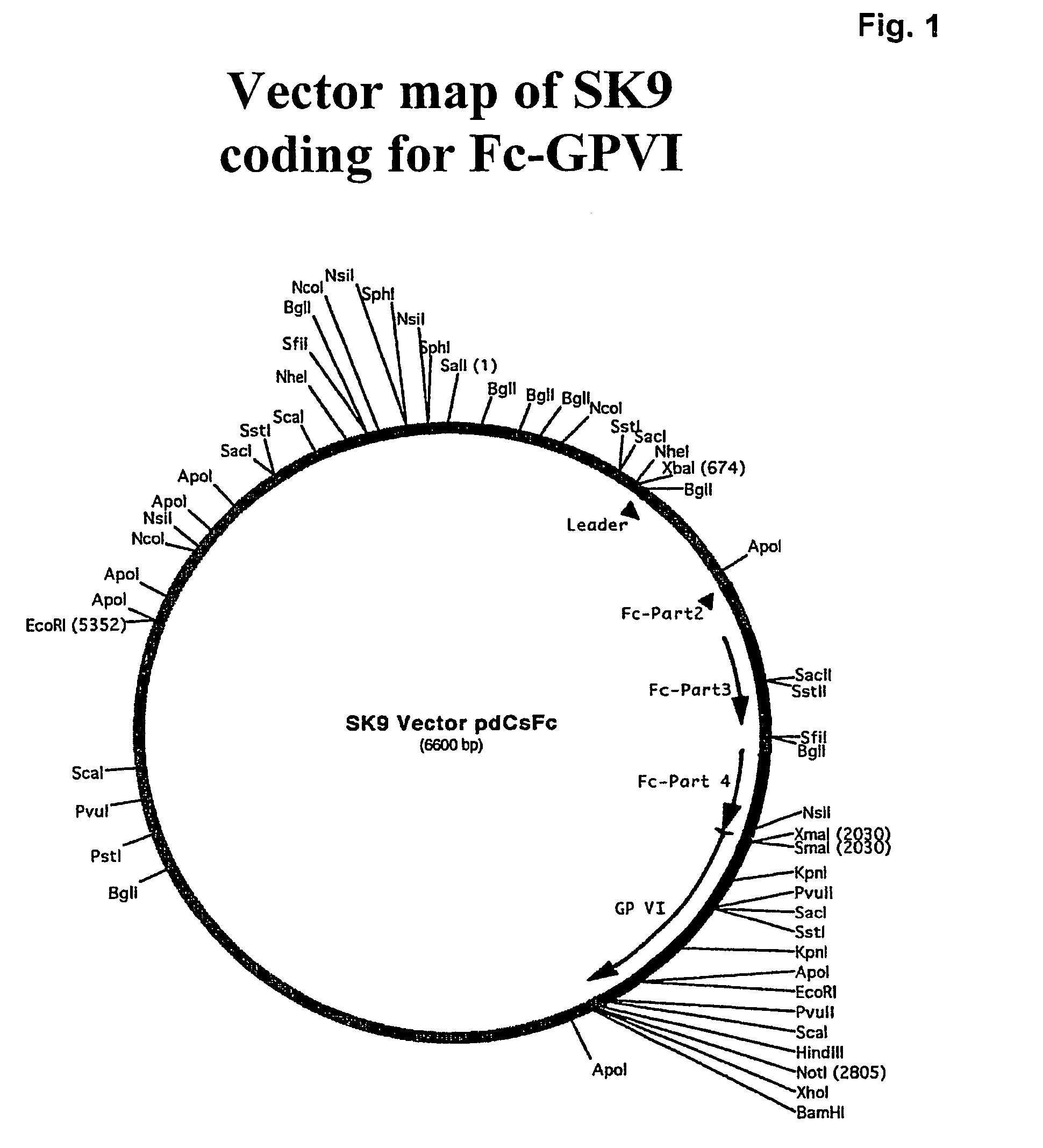 Glycoprotein VI fusion proteins