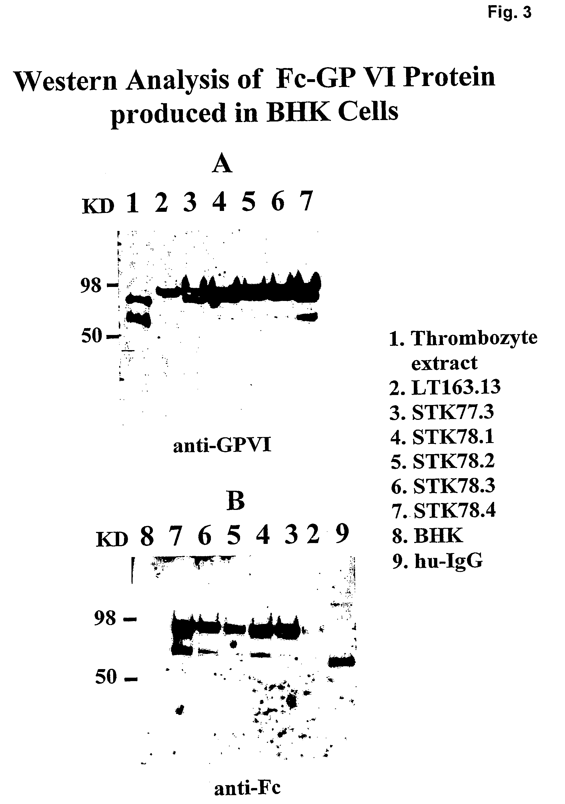 Glycoprotein VI fusion proteins