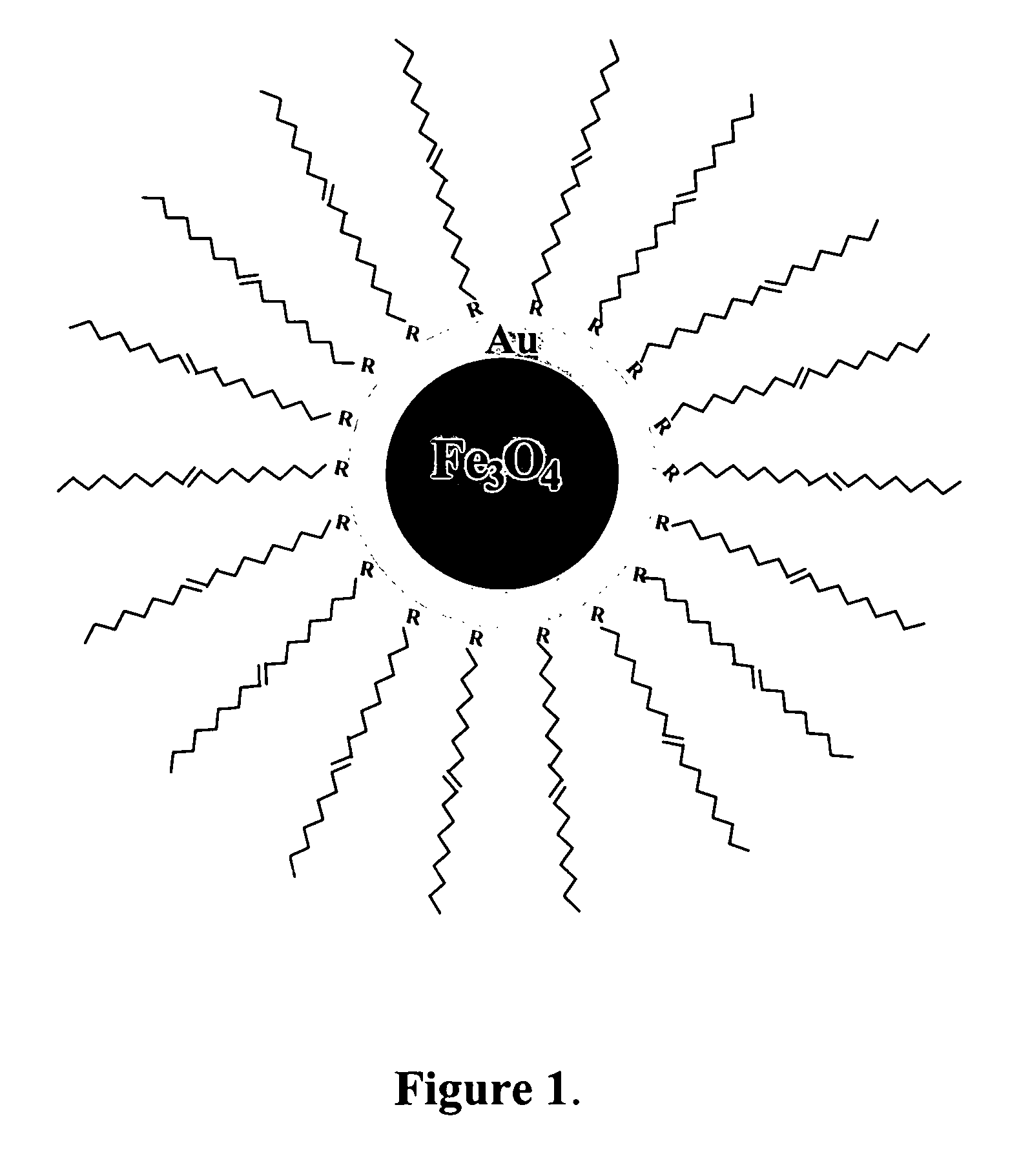 Method of forming iron oxide core metal shell nanoparticles