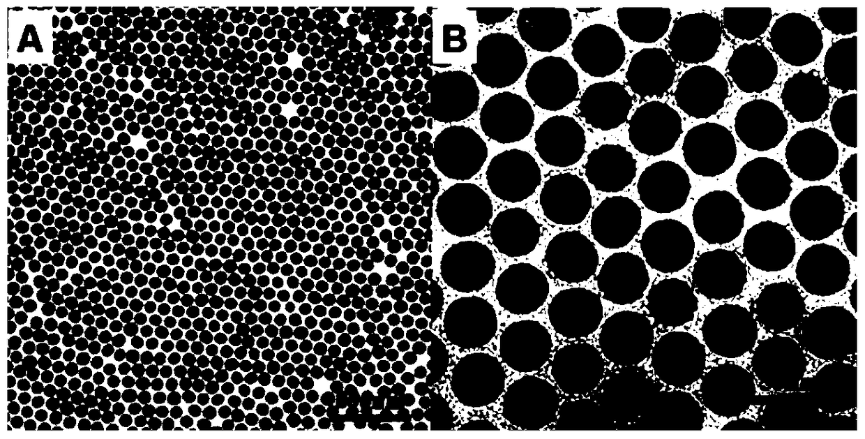 A sound-controlled nanoparticle-loaded berberine release system and its preparation method and application