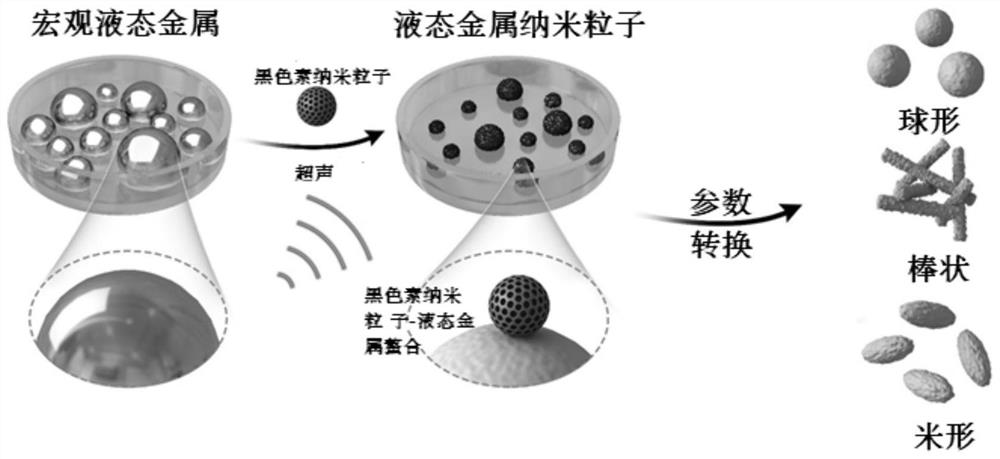 A rice-shaped liquid metal nanoparticle and its synthesis method and application