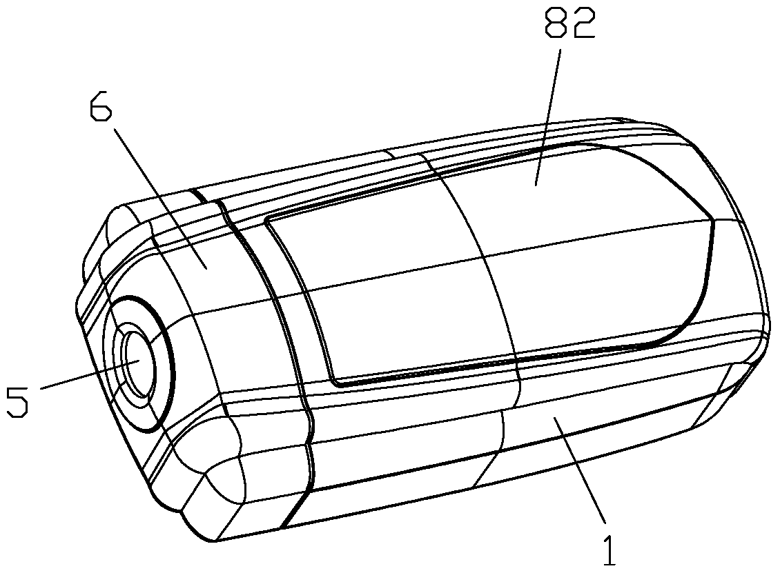 Tail lamp with replaceable mirror and adjustable lamp angle