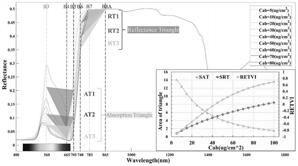 Chlorophyll content remote sensing inversion method and device, electronic equipment, medium and product