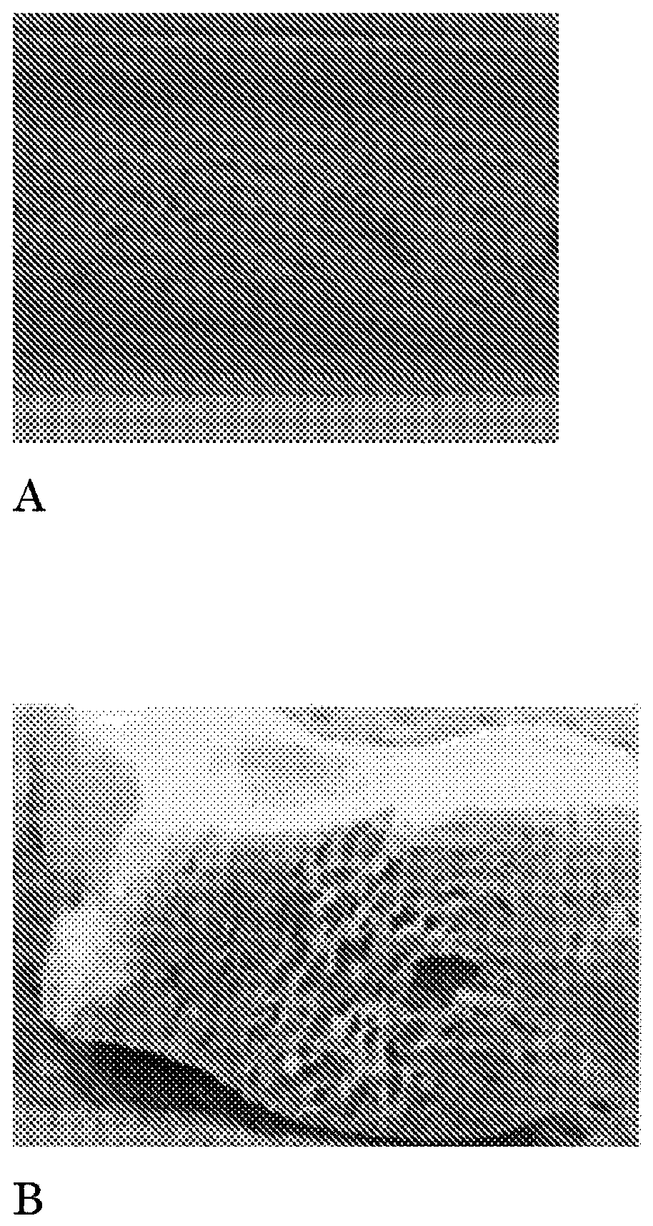 Method of producing edible pet chew product and product produced thereby
