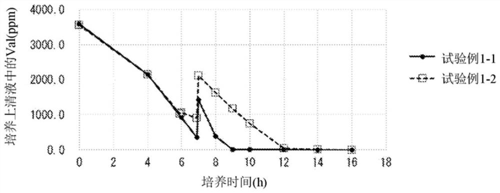 Method for producing yeast containing rich-taste-imparting substance and method for producing yeast extract containing rich-taste-imparting substance