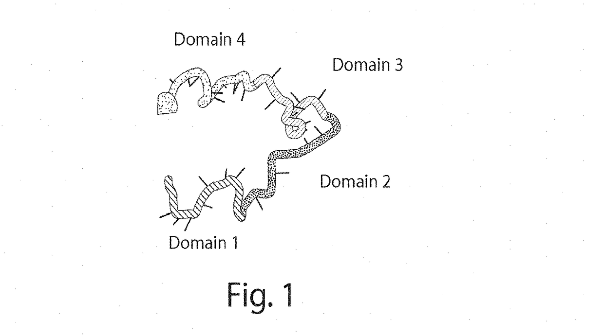 Compositions and methods relating to nucleic acid nano- and micro-technology