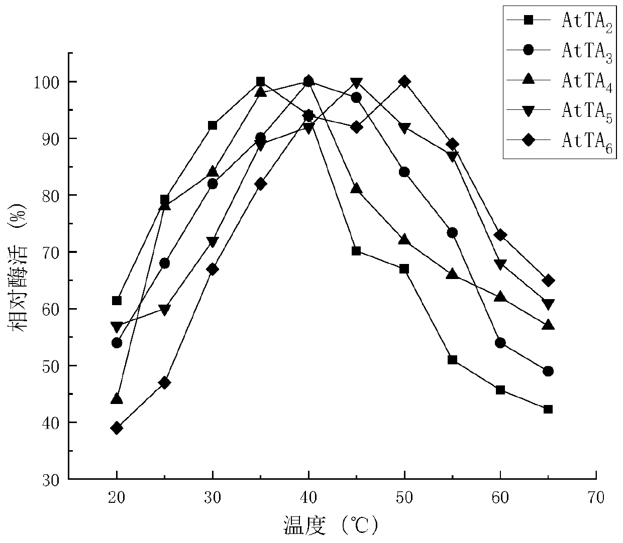 (R)-omega-transaminase mutant and application thereof