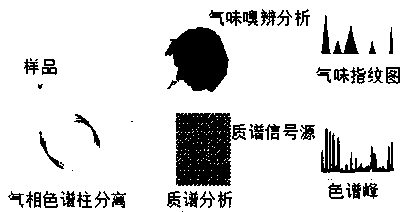 Research and analysis method for improving odor and VOC of automobile material