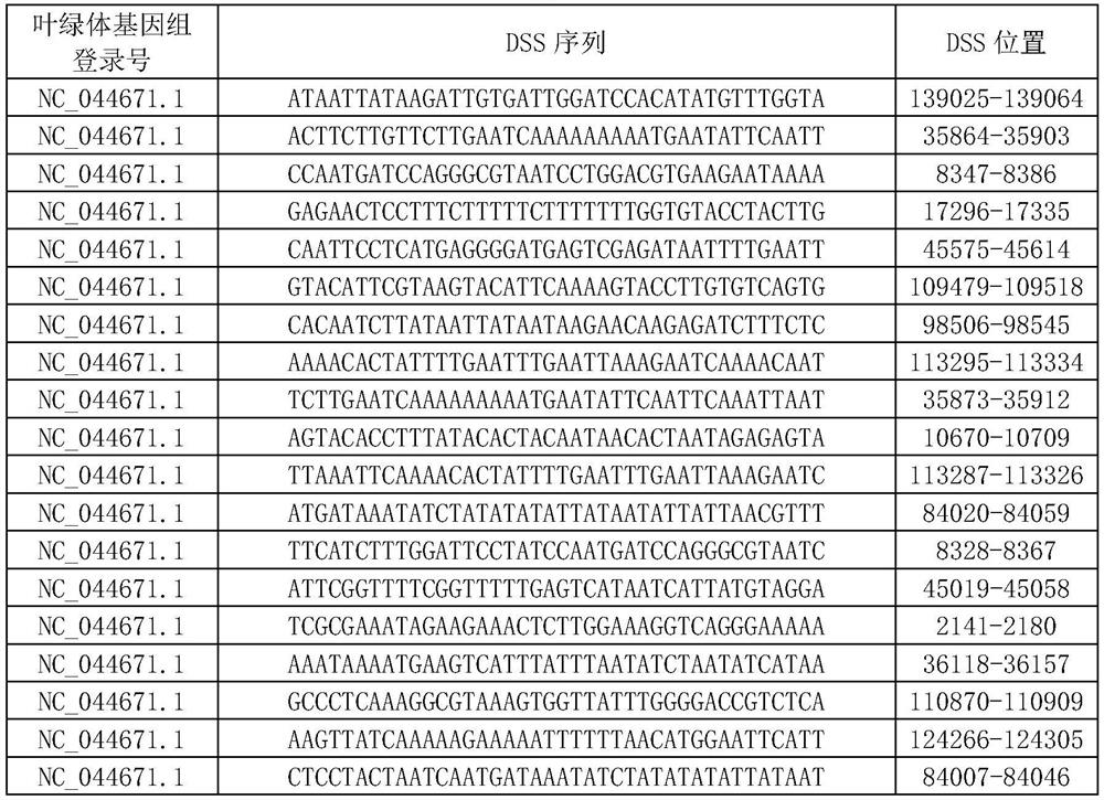 Method for identifying plants by using DNA characteristic sequence