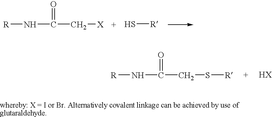 Imunogenic complex comprising ribosomes