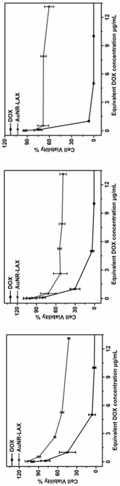 Drug delivery system targeting tumor cells, preparation method and application thereof