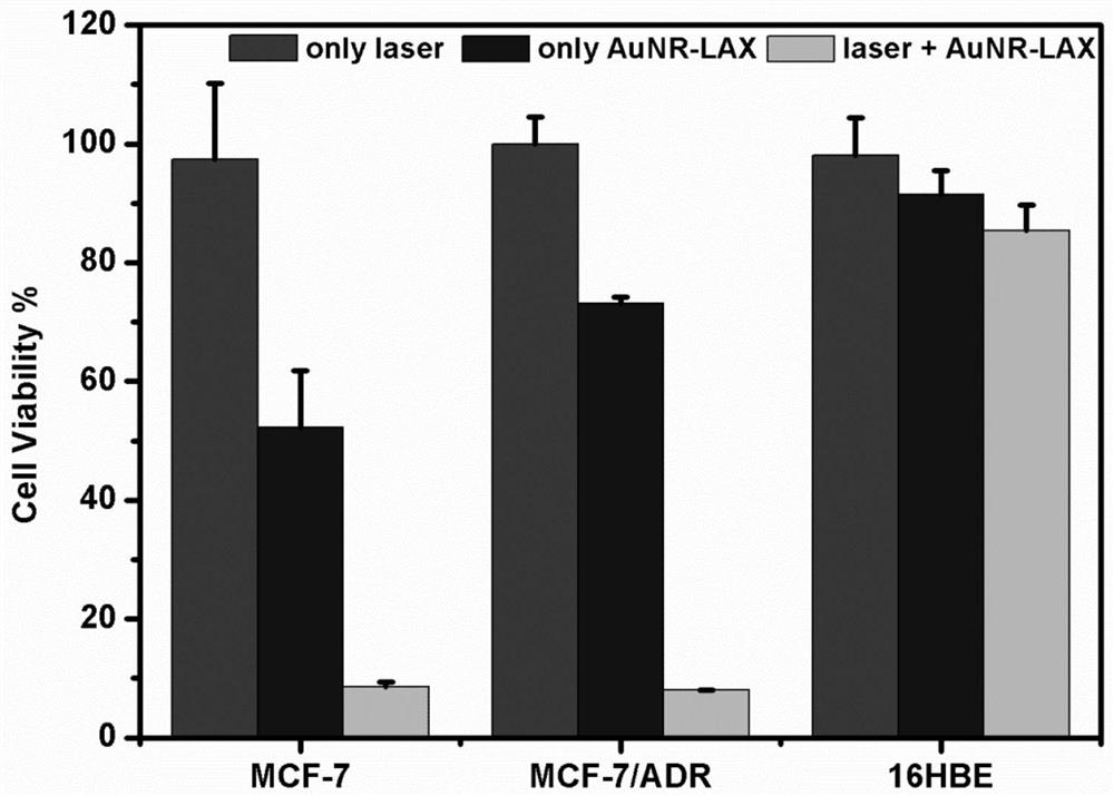 Drug delivery system targeting tumor cells, preparation method and application thereof