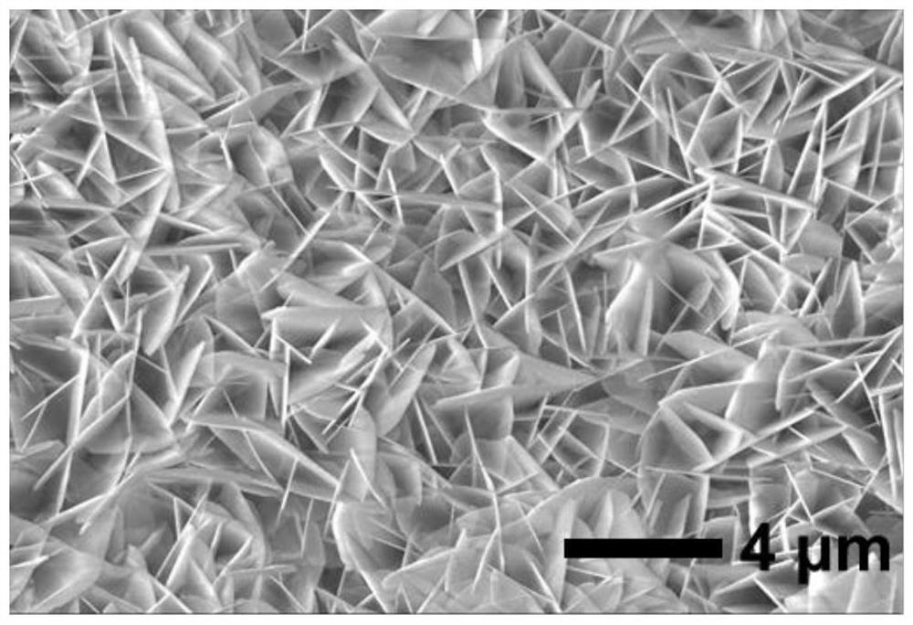 Non-noble metal catalyst for glycerin oxidation assisted hydrogen production