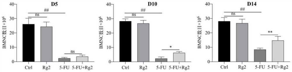 Use of ginsenoside Rg2 in preparing medicine for treating myelosuppression and medicine containing ginsenoside Rg2