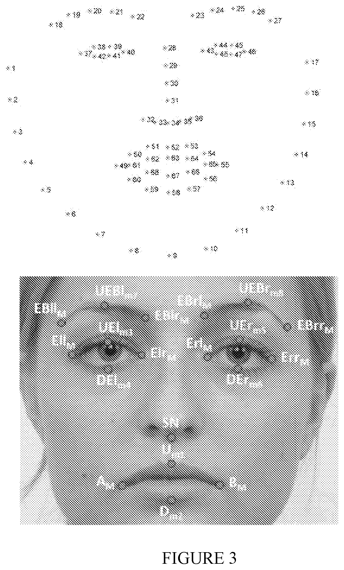 System for estimating a user's response to a stimulus