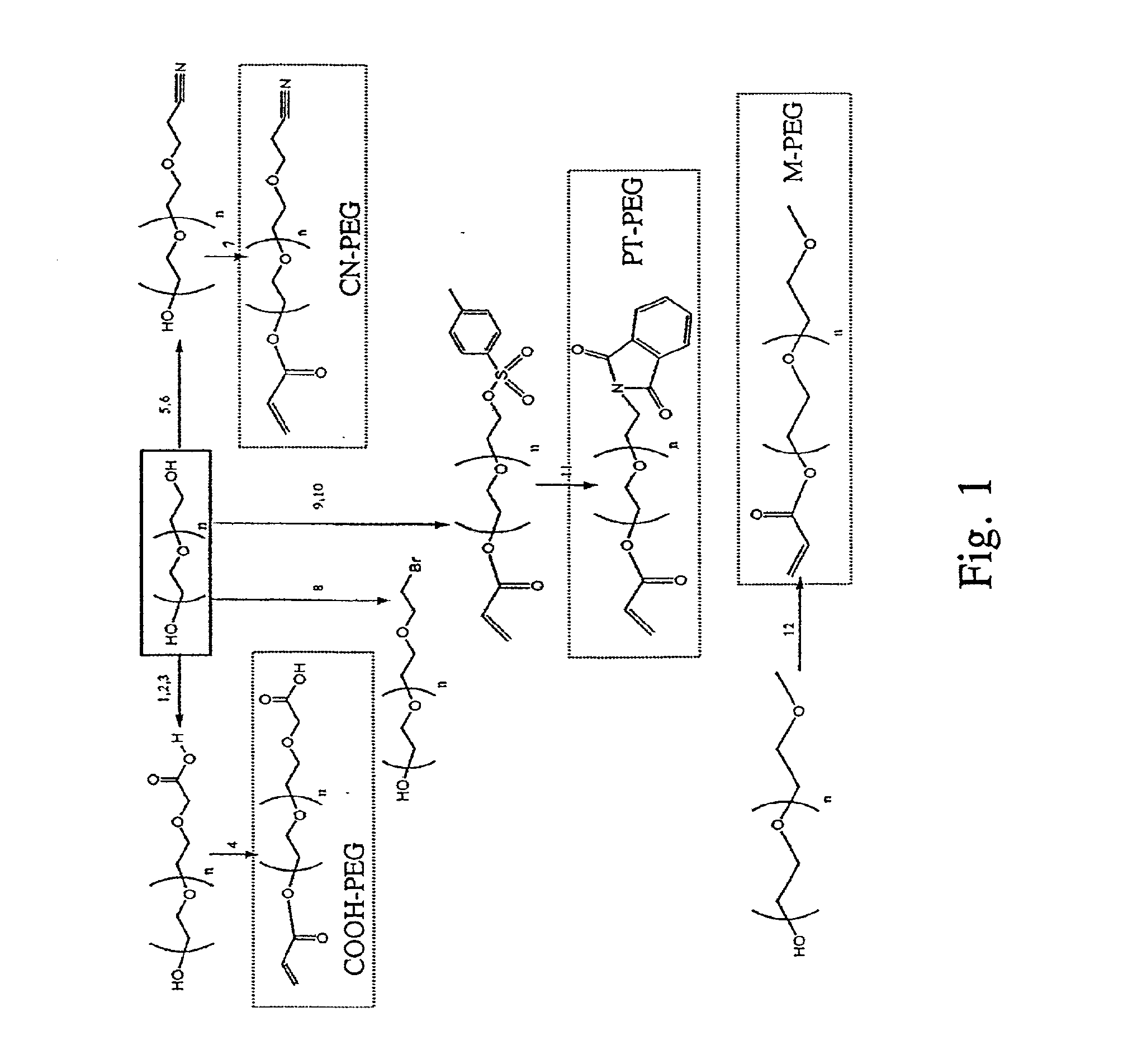 Bifunctional-modified hydrogels