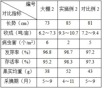 Rapid ecological restoration method for facility greenhouse soil