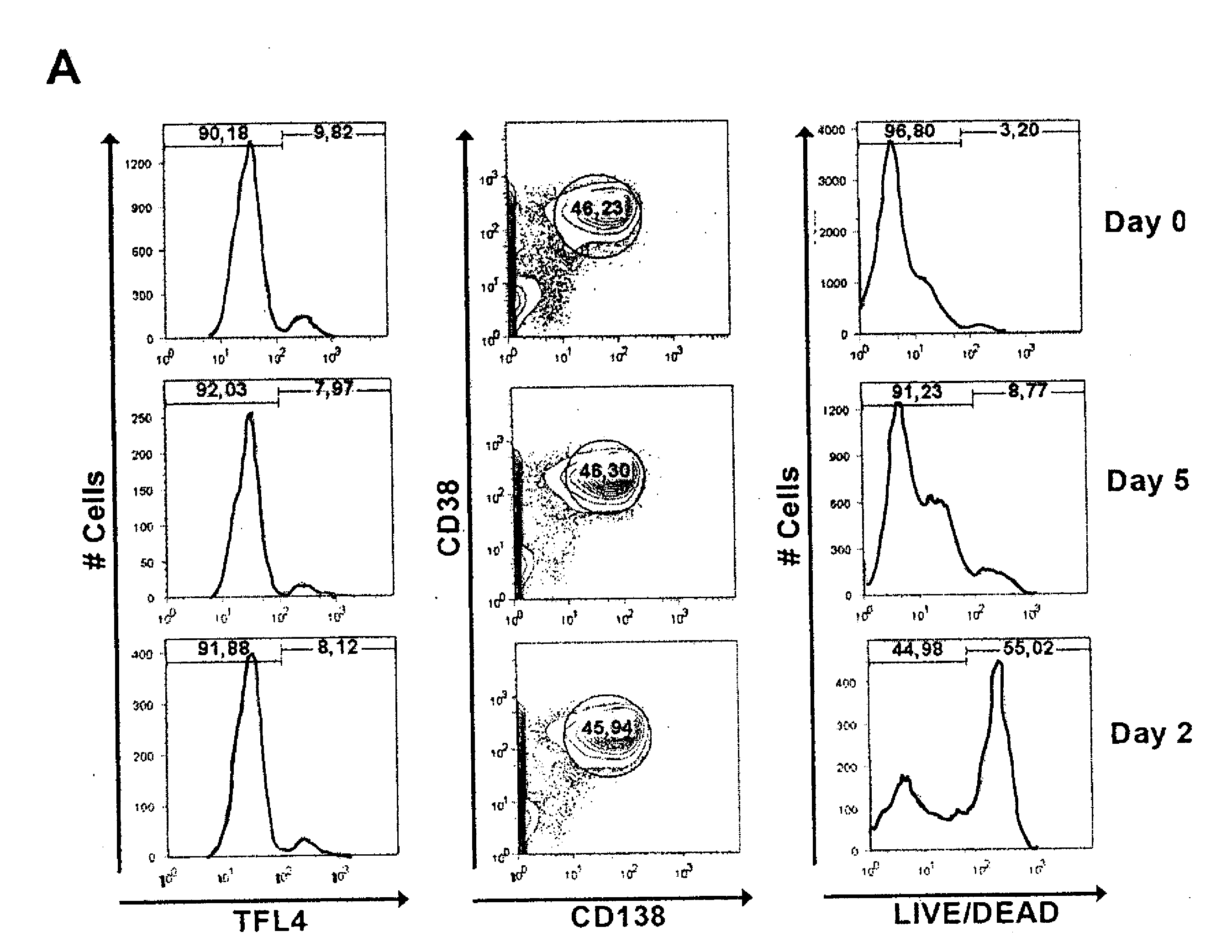 Expanded nk cells