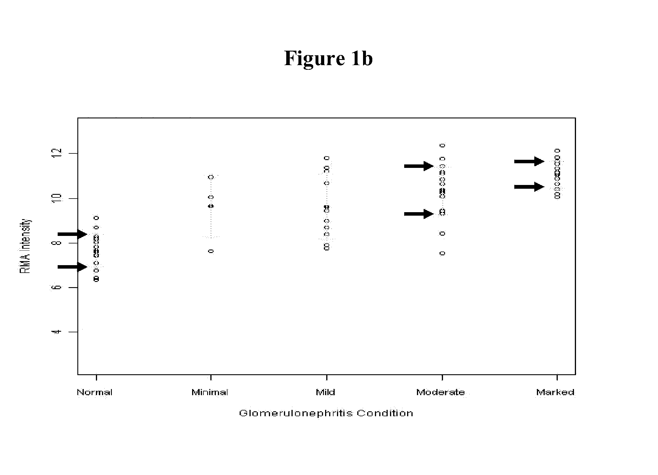 Compositions and methods for diagnosing and treating kidney disorders in a feline