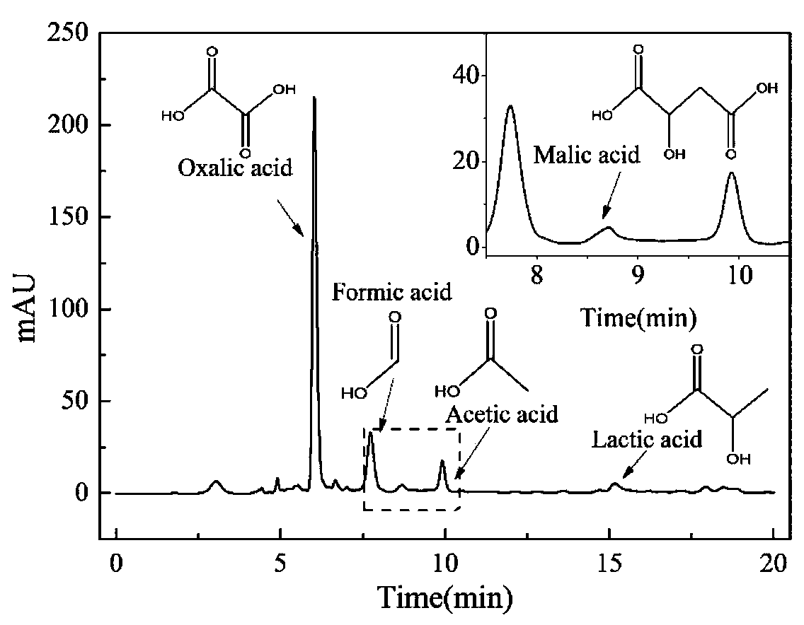 Phosphorus-dissolving penicillium oxalicum with broad spectrum acid production feature