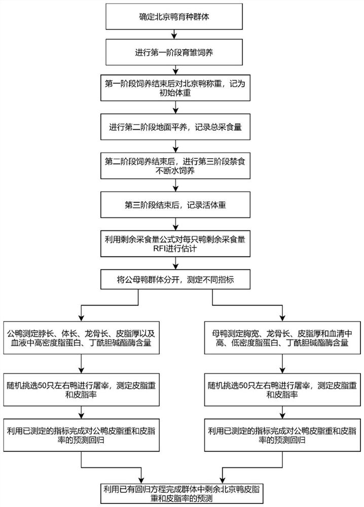 Duck sebum character living body prediction method and application thereof