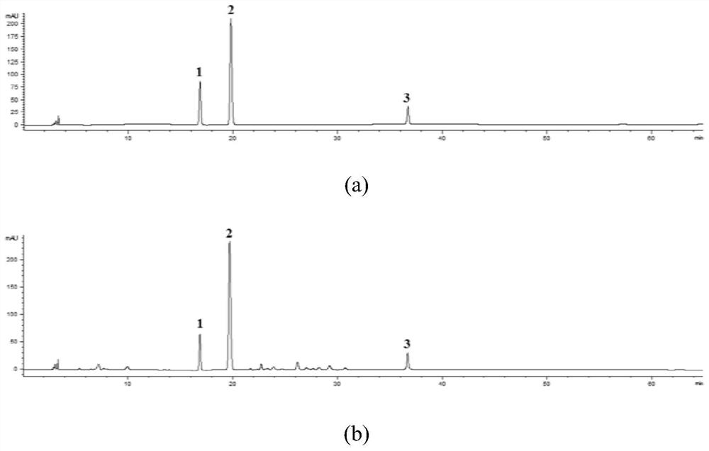 Application of fructus gardeniae extract in preparation of drugs for treating ulcerative colitis