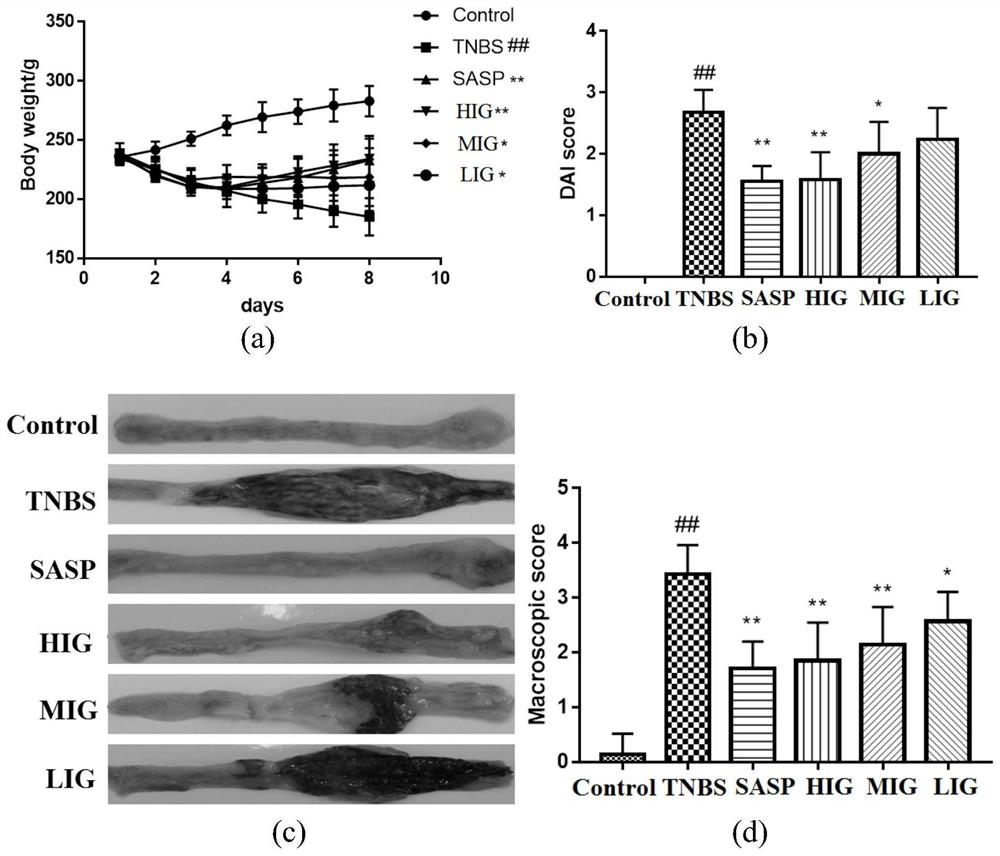 Application of fructus gardeniae extract in preparation of drugs for treating ulcerative colitis