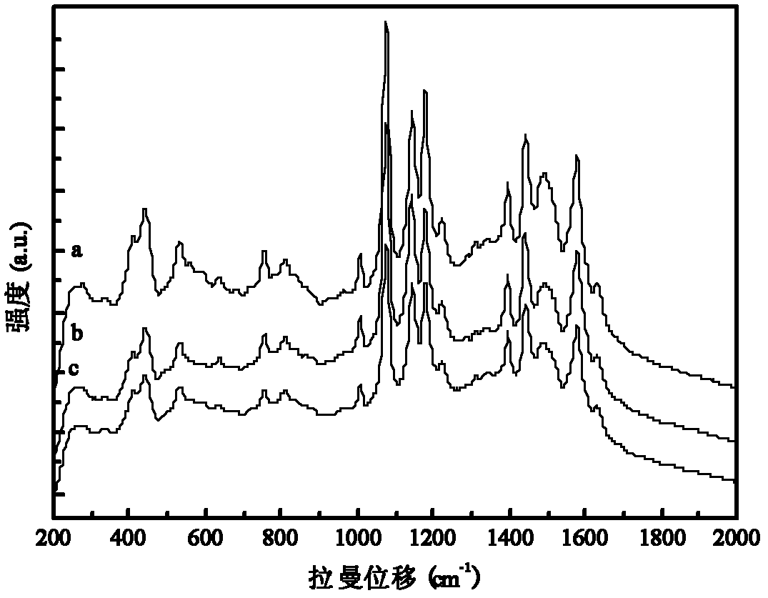 Preparation method for surface enhanced Raman scattering substrate based on cationic resin