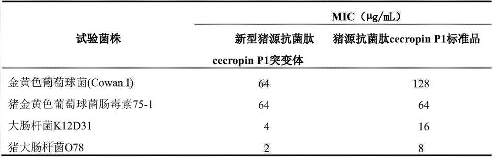 A kind of porcine antimicrobial peptide cecropin P1 mutant and its preparation method and application