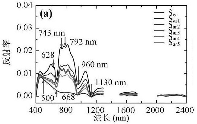 A Remote Sensing Identification Method for Marine Oil Spill Emulsion Based on Group Spectral Features