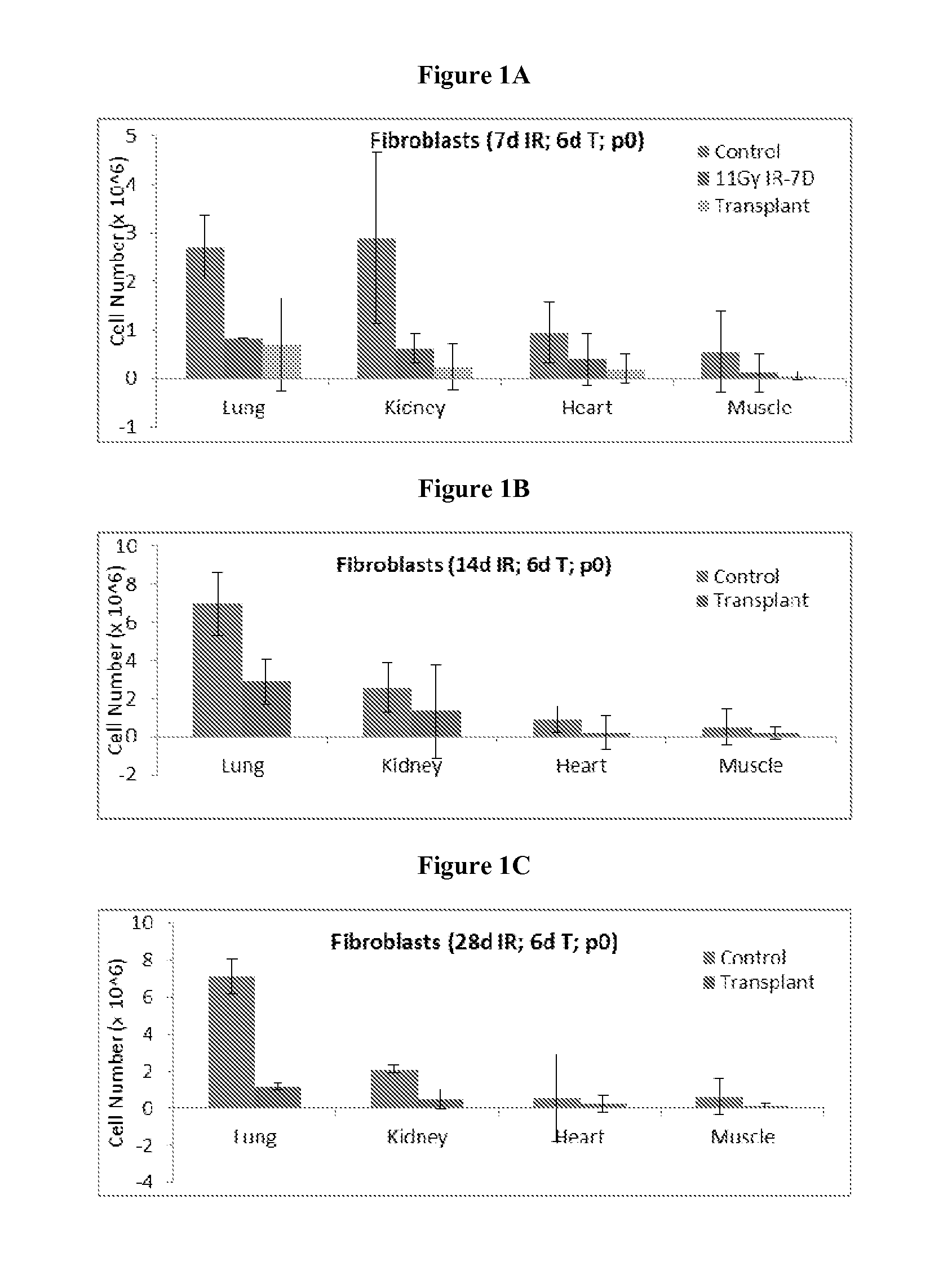 Compositions and methods related to dormant senescence-prone cells (DSPC)