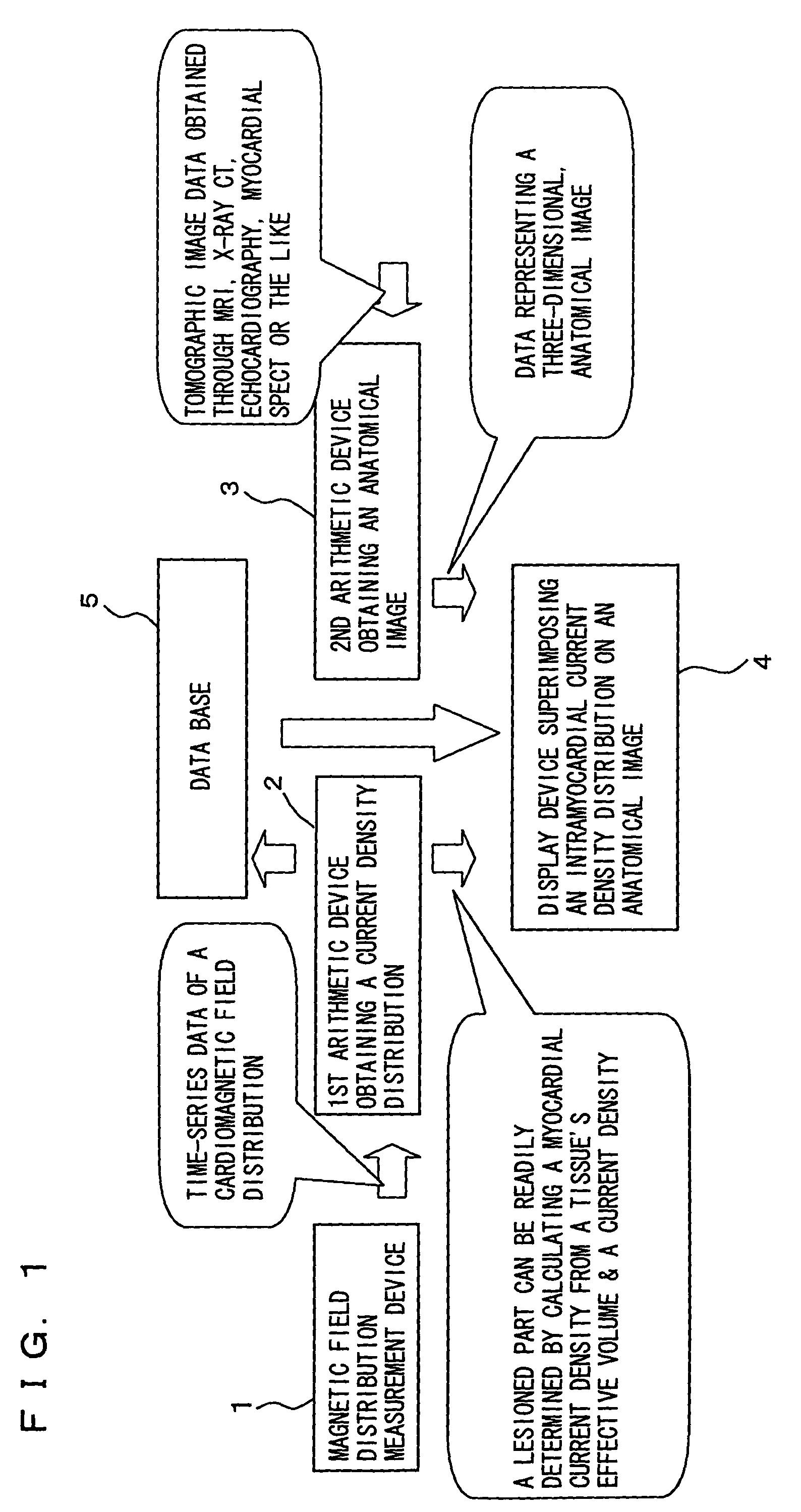 Liable cardiac muscle diagnosing apparatus and liable cardiac muscle analyzing method by magnetic field measurements