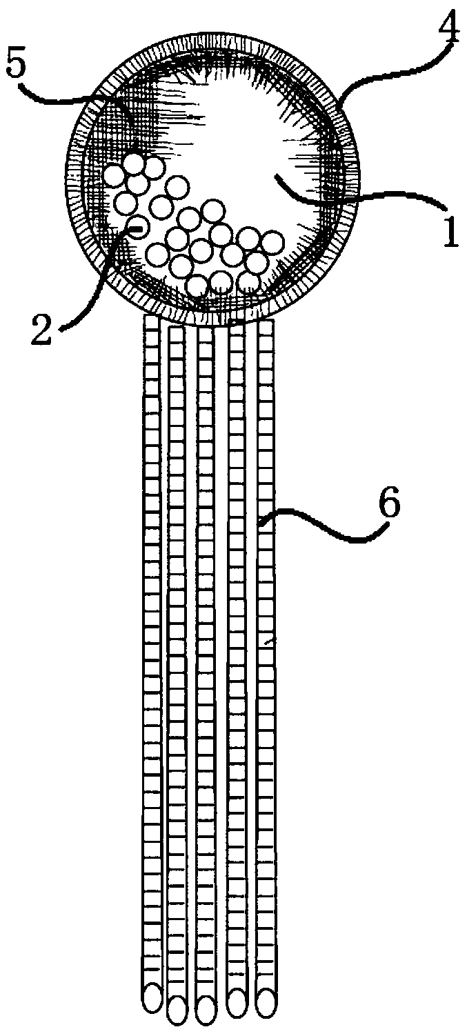 Silkworm cocoon accessory and preparation method thereof